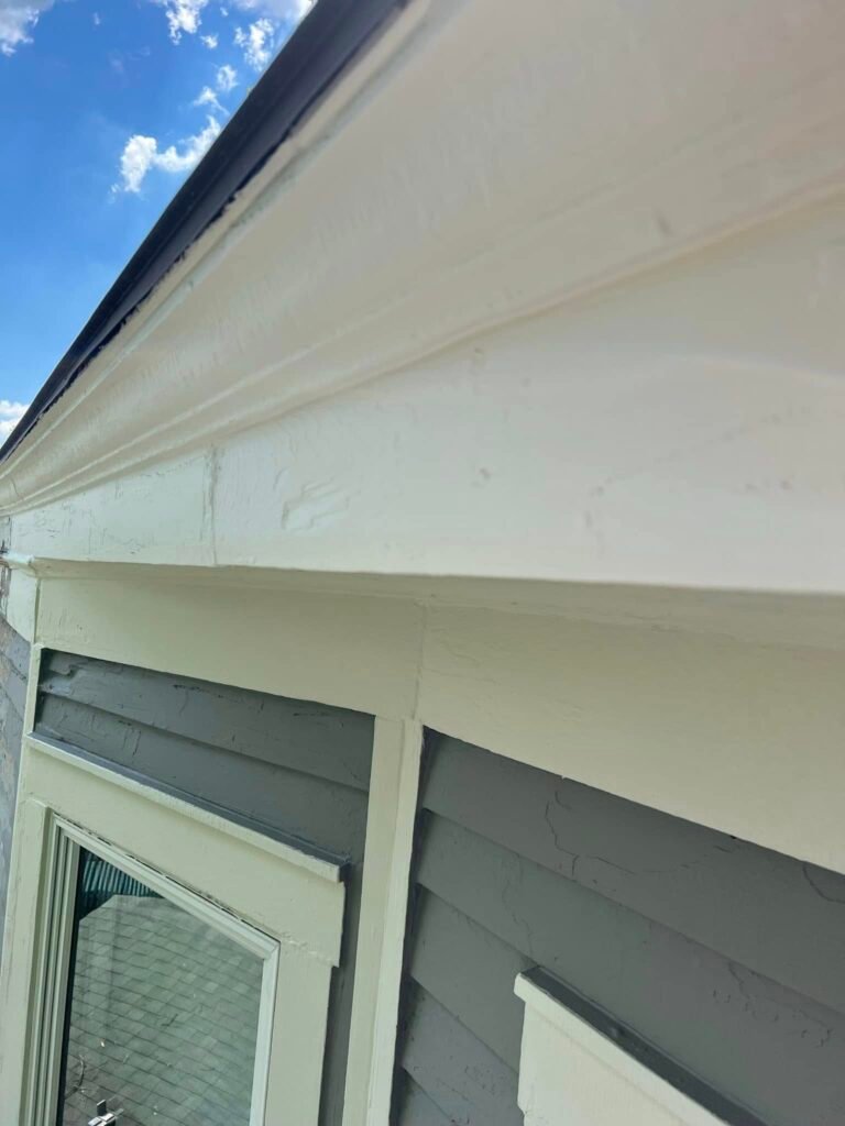 Exterior Fascia Restoration & Repaint - photo 2