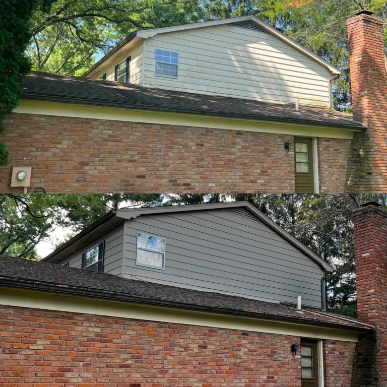 Exterior Repaint — Fresh Siding & Black Shutters - photo 3
