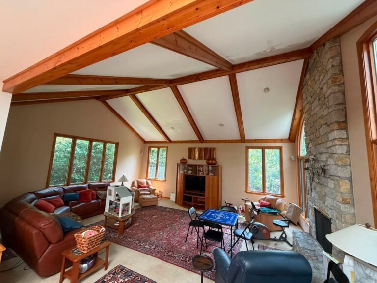 Ceiling Mold Treatment & Repaint in Indian Hill, OH - photo 3