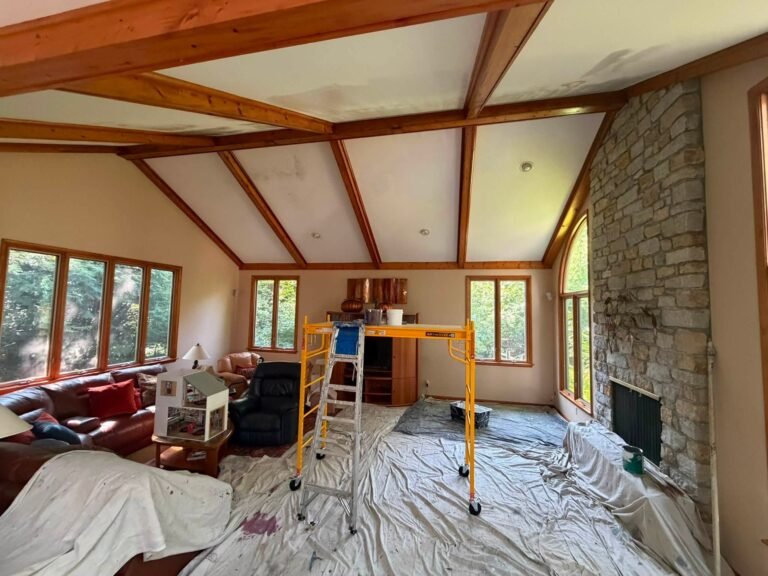Ceiling Mold Treatment & Repaint in Indian Hill, OH - photo 4