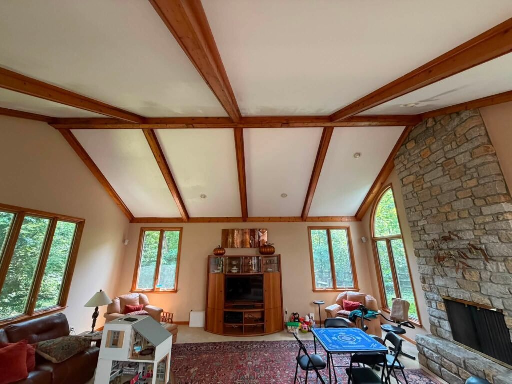 Ceiling Mold Treatment & Repaint in Indian Hill, OH - photo 2