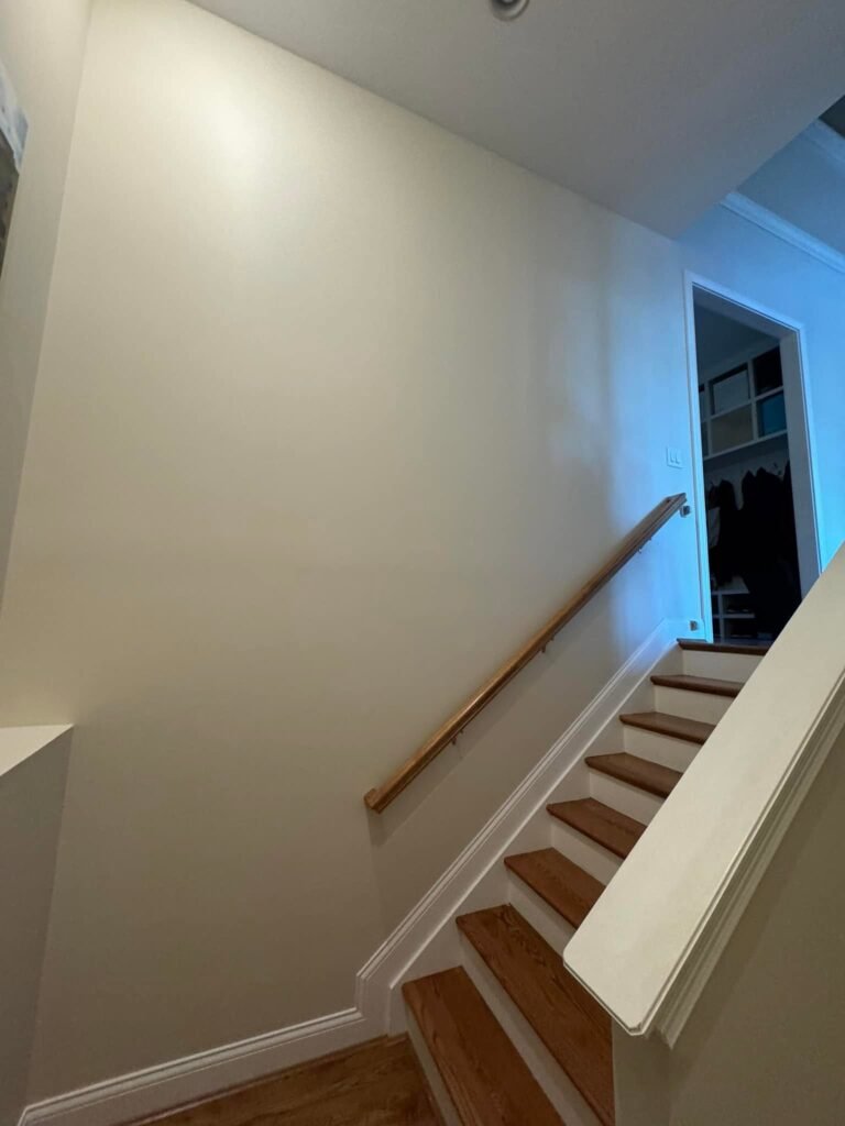 Finished Lower-Level Repaint — Living, Bedroom & Bath - photo 5