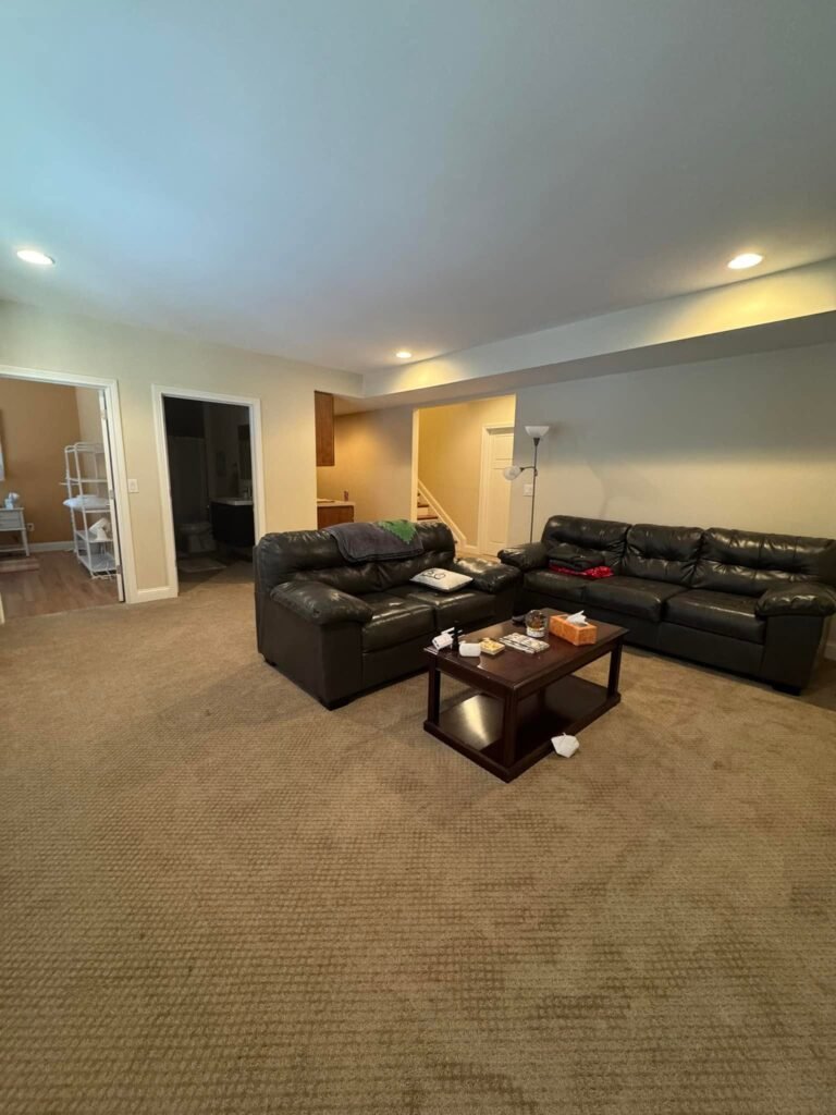 Finished Lower-Level Repaint — Living, Bedroom & Bath - photo 7