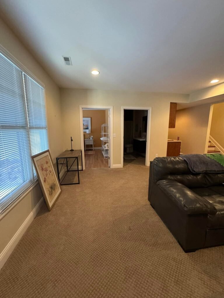 Finished Lower-Level Repaint — Living, Bedroom & Bath - photo 8