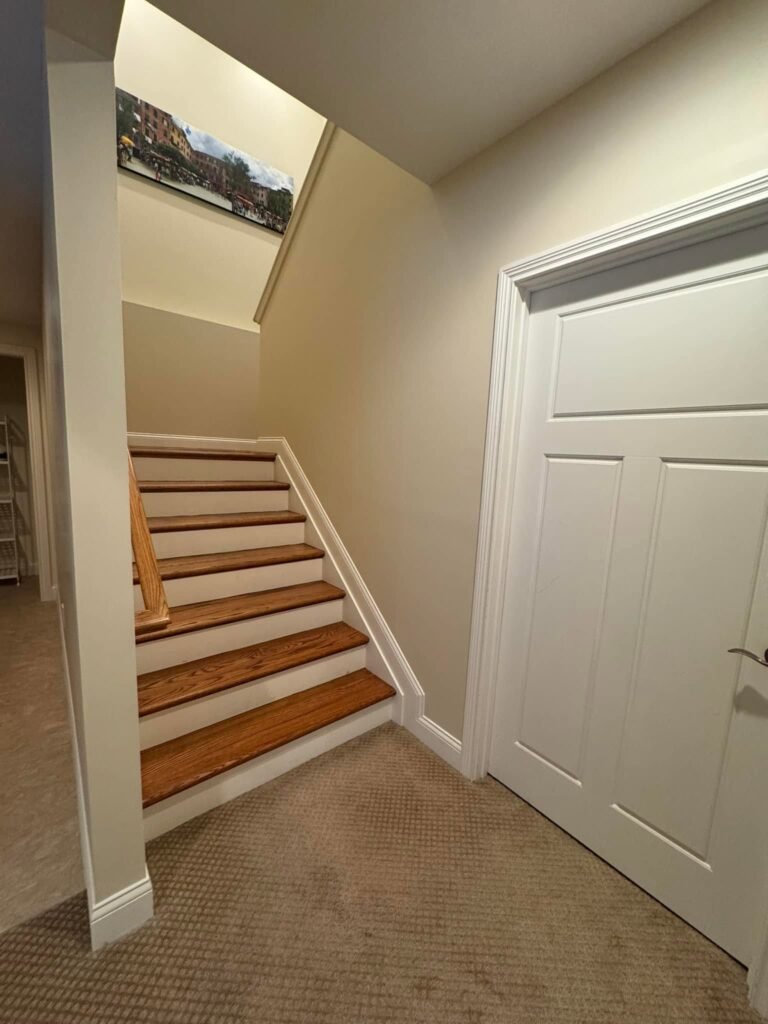 Finished Lower-Level Repaint — Living, Bedroom & Bath - photo 10